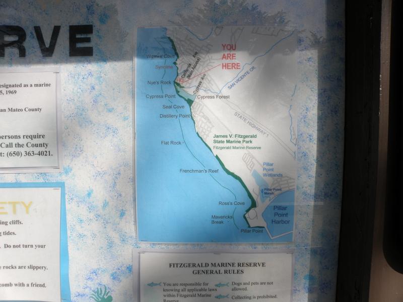 P6182009 Fitzgerald Reserve.JPG